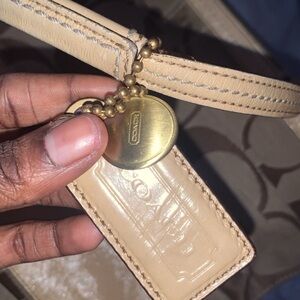 Coach Bag : Signature Khaki Stripe